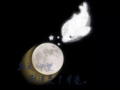 明明明月是前身免费全集资讯  明月与明明的前世今生，免费全集资讯--第1张
