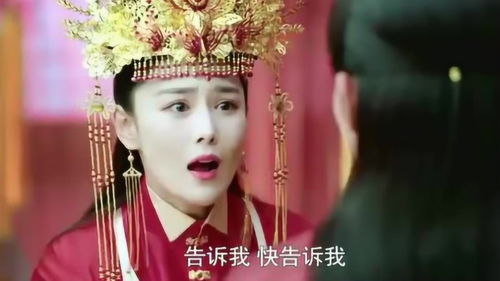 哎呀又被驸马装到了免费全集资讯  哎呀又被驸马装到了免费全集资讯，驸马又装了，哎呀全集免费观看--第1张