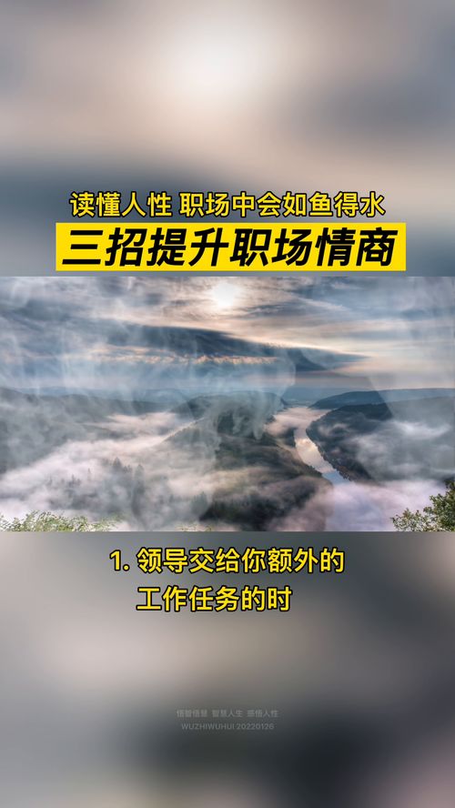逆袭小子混的风生水起免费全集资讯  ，逆袭小子混的风生水起，免费全集资讯，逆袭小子，风生水起的人生--第1张