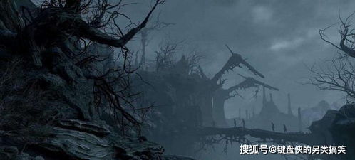 弃妃惊华侯爷追妻忙免费全集资讯  弃妃惊华，侯爷追妻忙（免费全集资讯），弃妃惊华，侯爷追妻忙免费全集--第1张