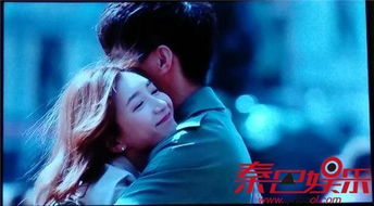前妻太招摇程总别撩了免费全集资讯  前妻太招摇，程总别撩了免费全集资讯，前妻太招摇，程总别撩了免费全集阅读--第1张