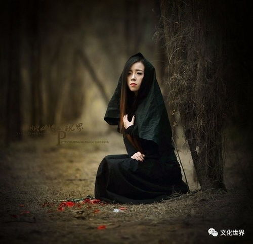 错爱难逃忆似梦鲍治玥免费全集资讯  ，错爱难逃忆似梦，错爱难逃忆似梦，鲍治玥免费全集资讯--第1张