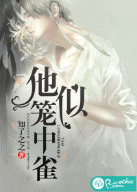 笼中雀免费全集资讯  ，笼中雀免费全集资讯--第1张