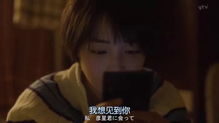 我只钟意你免费全集资讯  我只钟意你，免费全集资讯--第1张