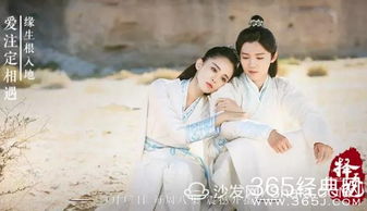 长生帝婿——免费全集资讯  长生帝婿，免费全集资讯--第1张
