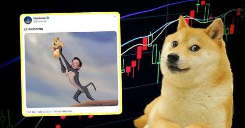 捡来的忠犬老公是亿万富翁免费全集资讯  捡来的忠犬老公是亿万富翁，免费全集资讯，捡来的忠犬老公是亿万富翁，免费全集解析--第1张