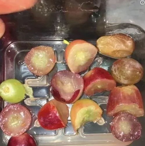 我儿子被大佬盯上了免费全集资讯  ，我儿子被大佬盯上了，免费全集资讯--第1张
