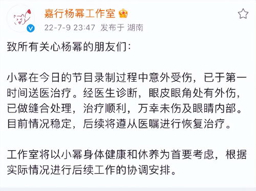 新版你是我的眼免费全集资讯  新版你是我的眼免费全集资讯，新版你是我的眼免费全集上线，独家资讯抢先看！--第1张