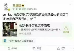 我的老公是首富共免费全集资讯  ，我的老公是首富，共免费全集资讯--第1张