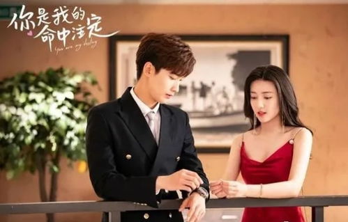 闪婚幸运草的命中注定免费全集资讯  闪婚幸运草，命中注定免费全集资讯--第1张