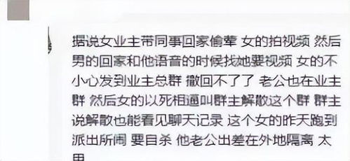 顾总以死相逼求复婚免费全集资讯  ，顾总以死相逼求复婚，免费全集资讯，顾总以死相逼求复婚免费全集观看--第1张