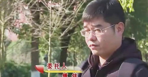 我家夫人不好惹傅先生他蓄谋已久免费全集资讯  我家夫人不好惹傅先生他蓄谋已久免费全集资讯，傅先生蓄谋已久，我家夫人不好惹免费全集--第1张