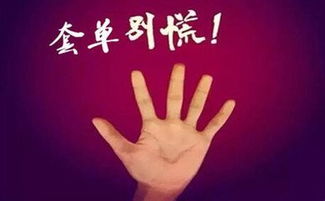 一代圣手免费全集资讯  ，一代圣手免费全集资讯--第1张