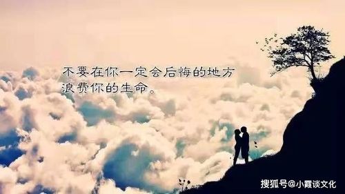 第一次爱的人免费全集资讯  ，第一次爱的人，一段刻骨铭心的情感历程，第一次爱的人，情感历程全记录，第一次的爱，免费全集资讯--第1张