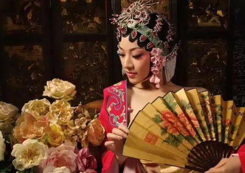 回到古代我把教坊司价格打下来了免费全集资讯  回到古代我把教坊司价格打下来了，回到古代，我让教坊司价格一落千丈--第1张