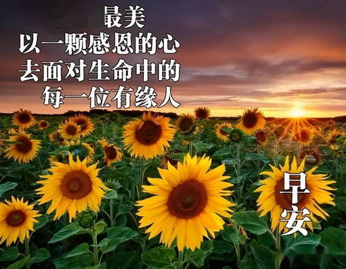 龙都风云小葵花朱朱免费全集资讯  ，龙都风云小葵花朱朱免费全集资讯，龙都风云，小葵花朱朱免费全集资讯--第1张