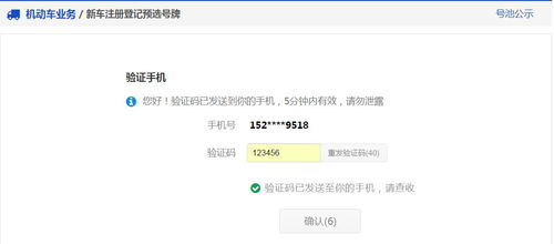 车牌自编号选号技巧_车牌自编号选号技巧视频--第1张