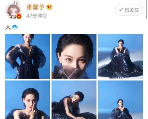 替嫁后墨总娇妻掐腰宠免费全集资讯  替嫁后墨总娇妻掐腰宠免费全集资讯--第1张