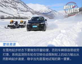 踏雪赵慧楠免费全集资讯  ，踏雪，赵慧楠免费全集资讯，踏雪赵慧楠免费全集，一部引人入胜的古装剧--第1张