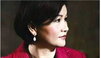 我在乡下当首富夫人我在乡下当首富孙晓慧免费全集资讯  ，我在乡下当首富夫人，我在乡下当首富，首富夫人崛起记--第1张