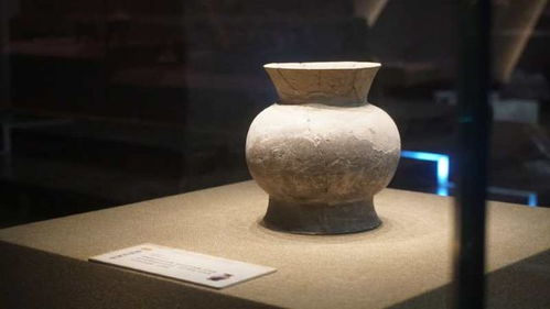 逆风明瞳免费全集资讯  逆风明瞳免费全集资讯--第1张