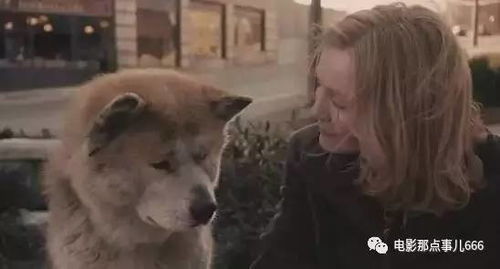 新版她死后薄爷跪在墓前哭成狗免费全集资讯  新版她死后薄爷跪在墓前哭成狗免费全集资讯--第1张