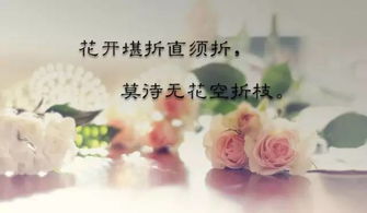 致姗姗来迟的你——免费全集资讯  致姗姗来迟的你——免费全集资讯--第1张