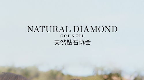 许你一生璀璨免费全集资讯  许你一生璀璨，免费全集资讯--第1张