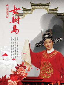 我在古代当驸马免费全集资讯  我在古代当驸马，一场穿越时空的奇妙之旅，穿越时空的奇妙之旅，我在古代当驸马--第1张