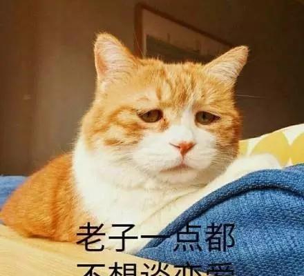 我再也不想恋爱了我有九千万亿舔狗金免费全集资讯  我再也不想恋爱了，一个富有的单身人士对恋爱的态度和经历--第1张