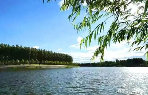 龙爸风云免费全集资讯  龙爸风云免费全集资讯--第1张