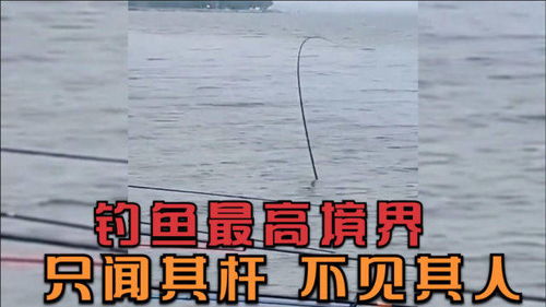 神级钓鱼佬免费全集资讯  神级钓鱼佬免费全集资讯，神级钓鱼佬免费全集钓鱼技巧资讯--第1张