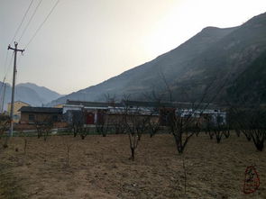 阳光照进小山村杨景景免费全集资讯  阳光照进小山村——杨景景免费全集资讯，阳光照进小山村，杨景景免费全集资讯--第1张