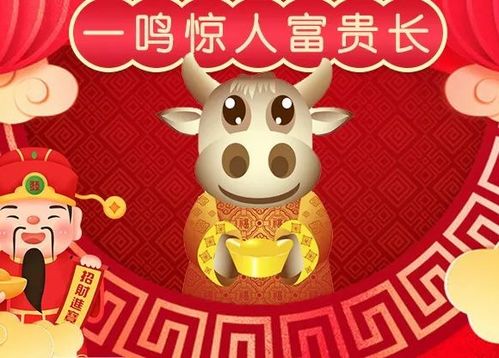 新一夜暴富免费全集资讯  ，新一夜暴富免费全集资讯--第1张