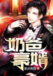 天降极品豪婿免费全集资讯  天降极品豪婿免费全集资讯--第1张