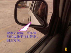 科目二笨的人要学多久_科目二新手一般练多久--第1张