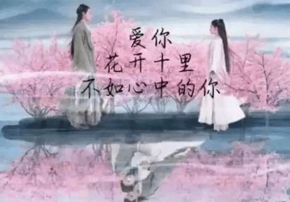 相思不似相逢免费全集资讯  相思不似相逢免费全集资讯--第1张