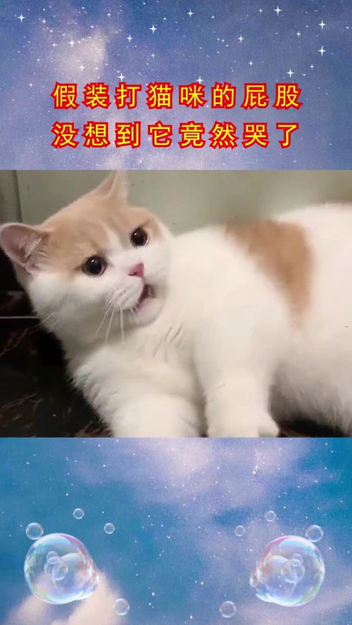 它喵的我才不要当女一~免费全集资讯  ，它喵的我才不要当女一~免费全集资讯，女一梦碎，我拒绝当女主角--第1张