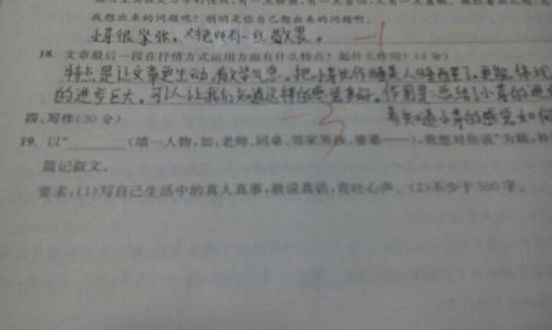 未来的汽车_未来的汽车作文500字左右--第1张