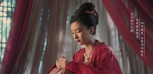 世子妃她每天都想和离免费全集资讯  世子妃她每天都想和离免费全集资讯--第1张