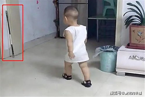 萌宝助攻笨蛋老爸快追妻短剧  ，萌宝助攻笨蛋老爸快追妻短剧--第1张