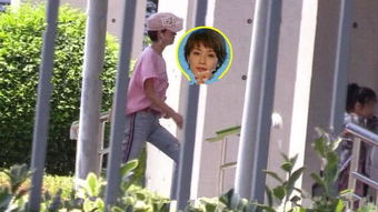 离婚后被大佬疯狂追求短剧  离婚后被大佬疯狂追求短剧，离婚后被大佬疯狂追求，爱情与前路的抉择--第1张
