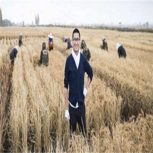 靠种地成为首富短剧  靠种地成为首富短剧，从农夫到首富的传奇人生--第1张