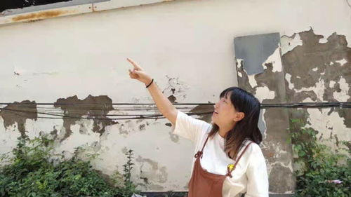 我的老婆是将军短剧  我的老婆是将军短剧，我的老婆是将军，家庭与事业的挑战--第1张