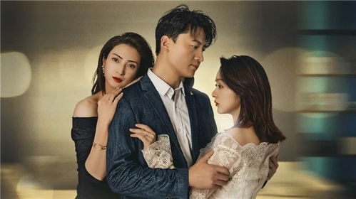 妻子的反击短剧  妻子的反击短剧，妻子的反击，爱情与复仇的交织--第1张