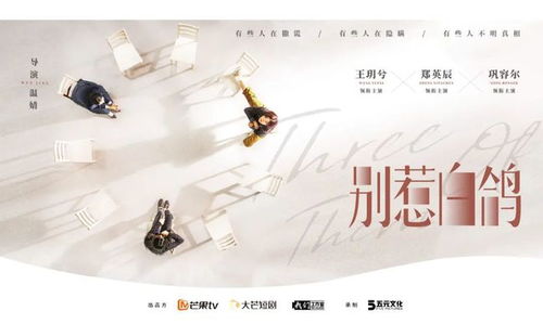新版重拾短剧  新版重拾短剧，一种新的娱乐形式--第1张