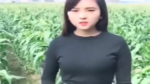 美女的上门医婿短剧  美女的上门医婿短剧，美女的上门医婿，逆袭人生--第1张