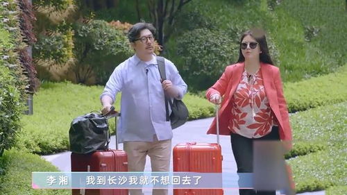 裴太太你跑不掉了短剧  裴太太你跑不掉了短剧，裴太太，你跑不掉了！，一场甜蜜的复仇爱情故事--第1张
