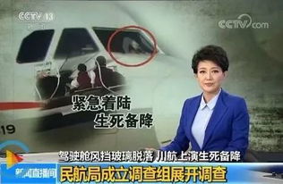 机长大人离婚请签字短剧  机长大人离婚请签字短剧--第1张