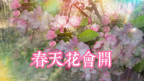 春天花会开短剧  春天花会开短剧--第1张